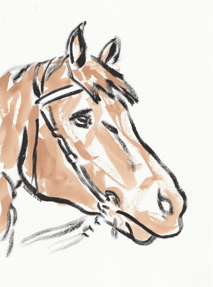 Horse's Gentle Gaze