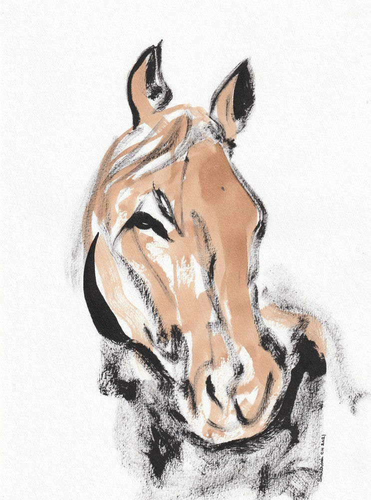 Desert Dawn Equine