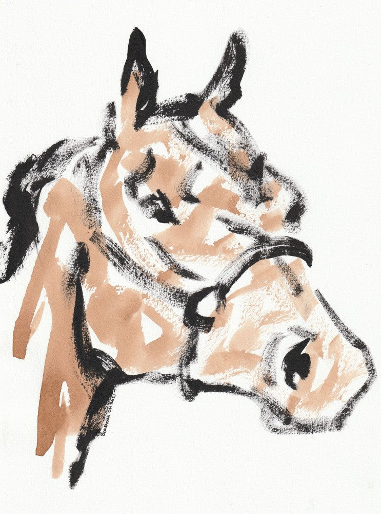 Graceful Equine