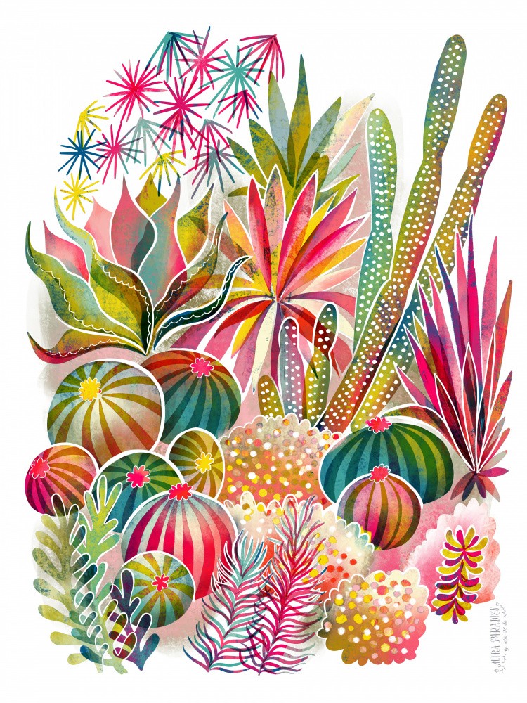 Flowering Succulent And Cacti Garden