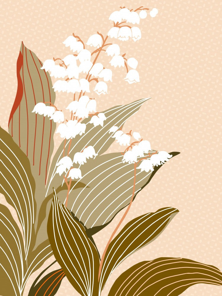 Big flowers Lily of the valley peach