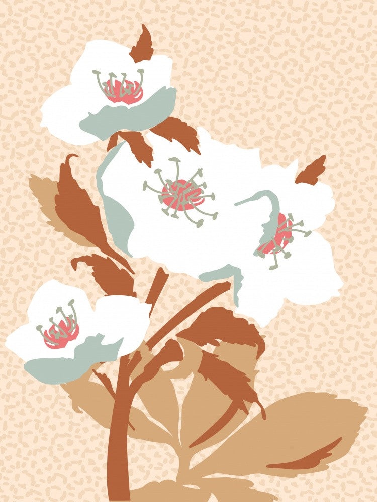 Wild Garden Helleborejpg