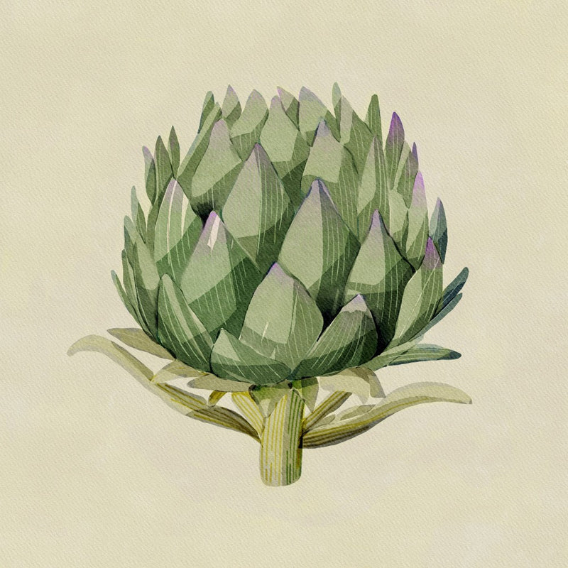 Artichoke