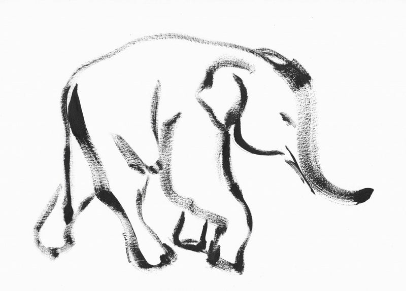 Gentle Elephant Stroll