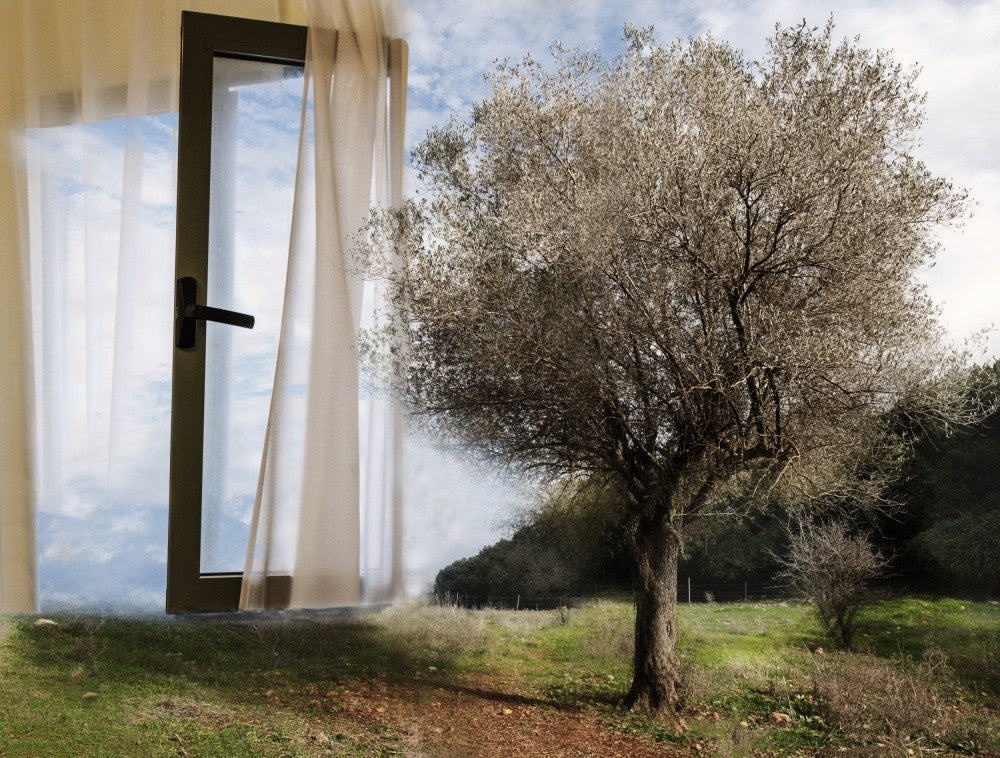 when the outside comes inside