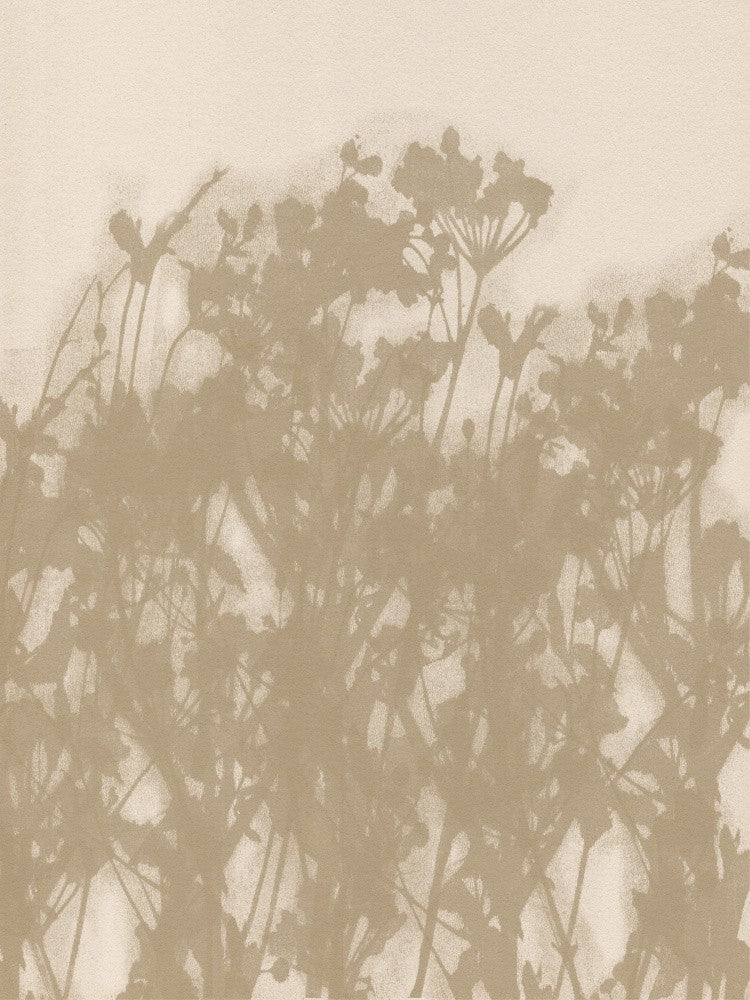 Wild Meadow in Ochre and White