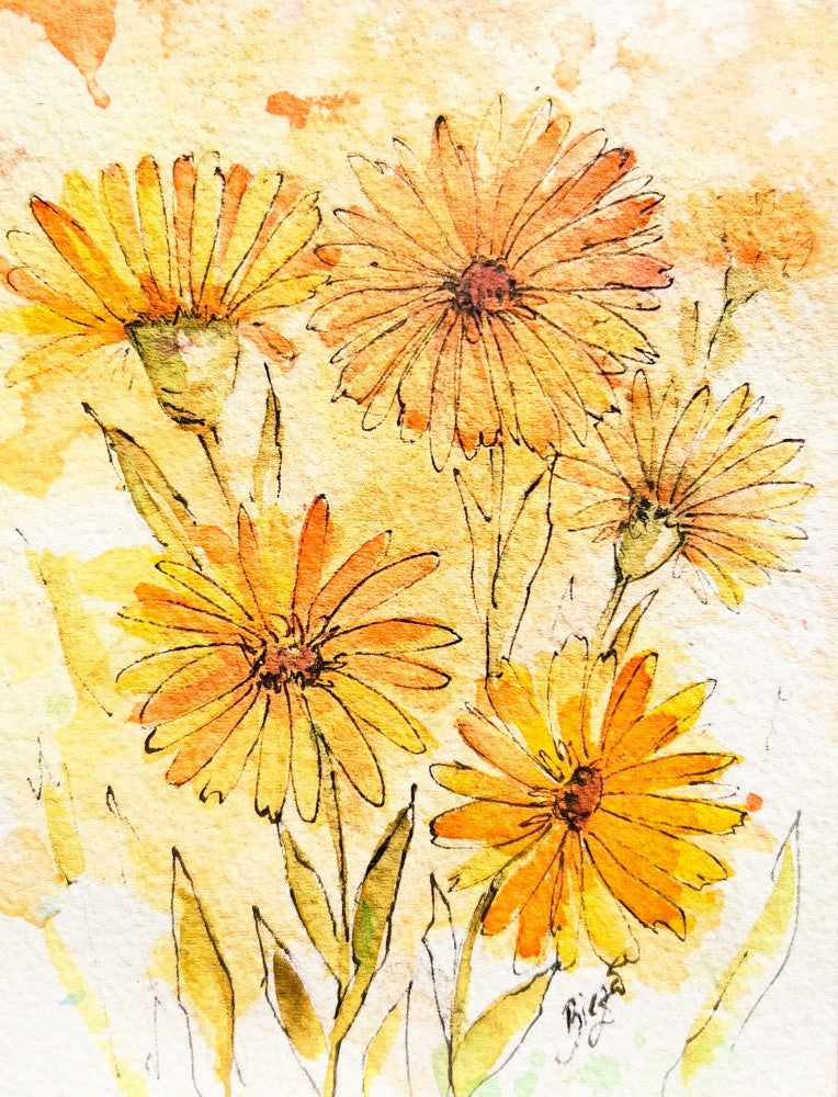 Summer Garden 2