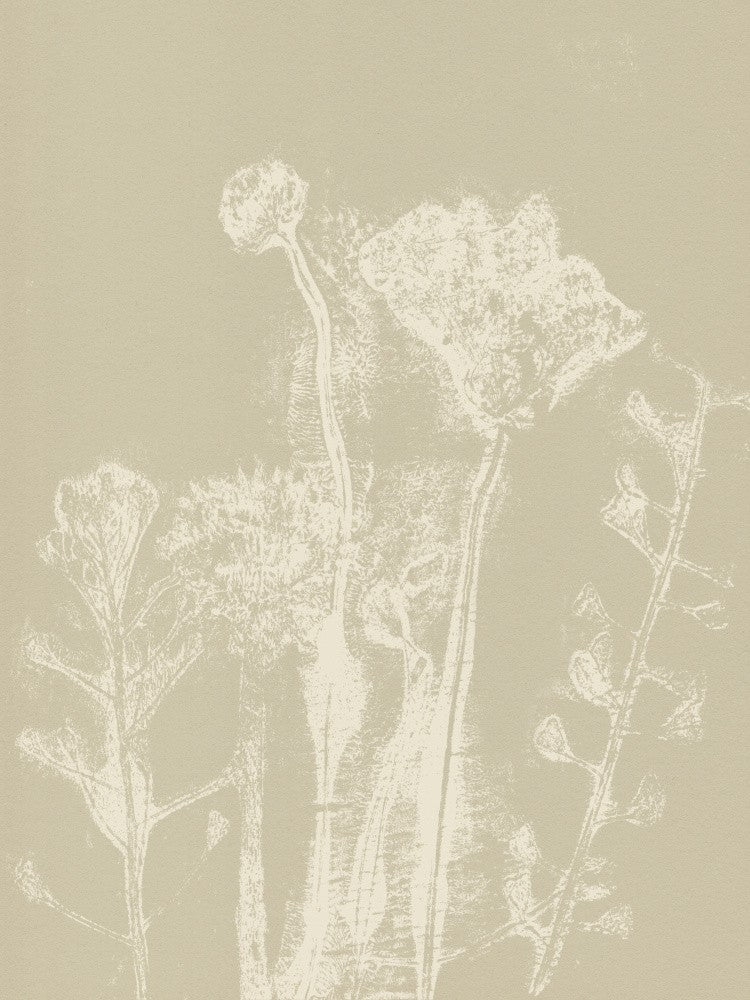 Abstract Florals. White meadow plants and flowers on neutral beige.
