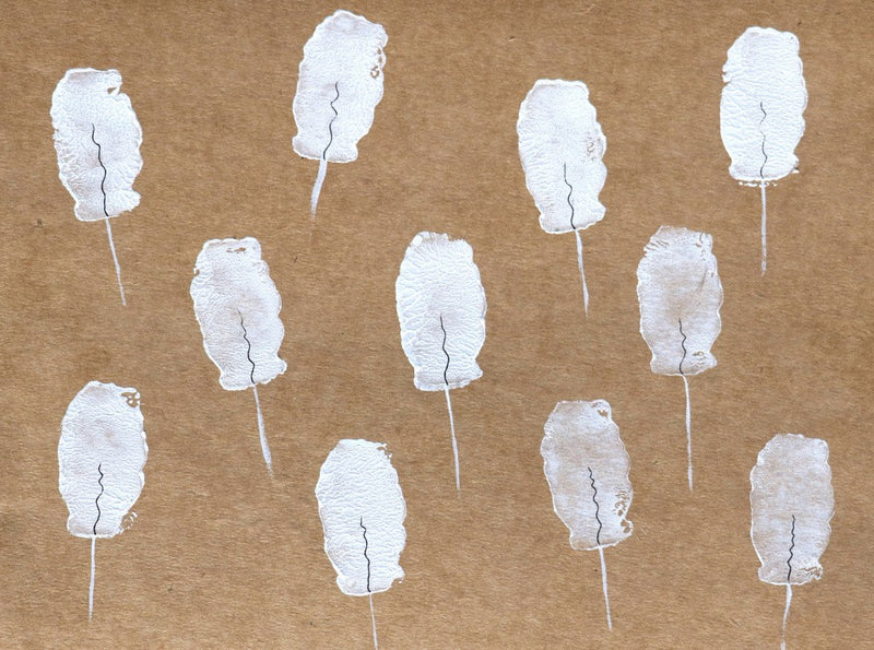 White Feathers Drift