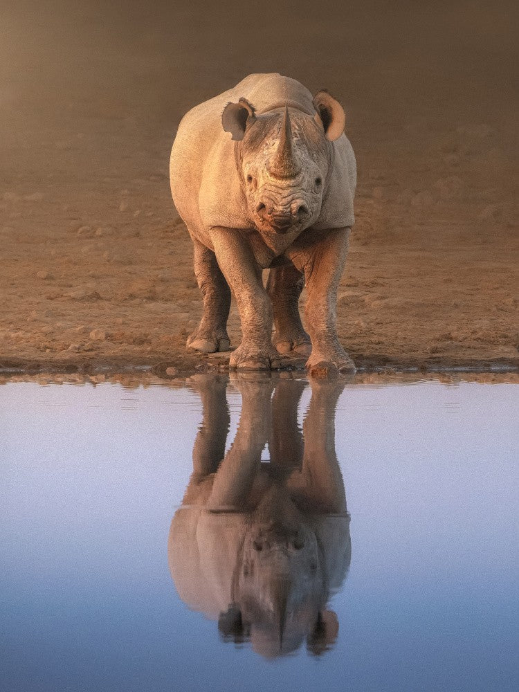 Reflection