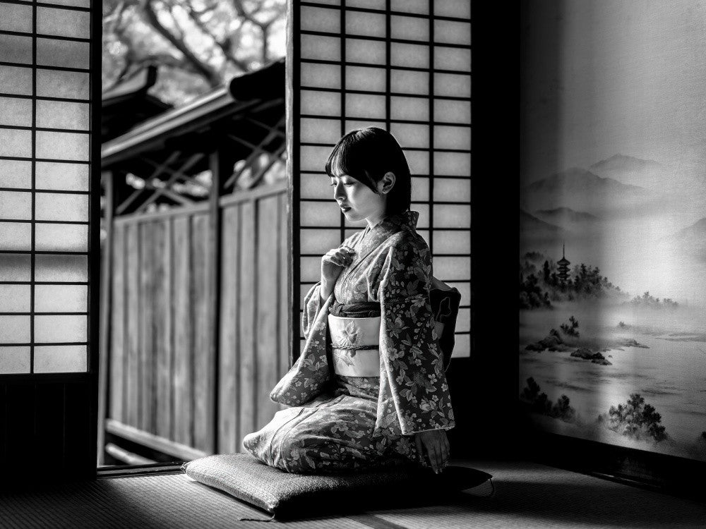 The Japanese Old Style House