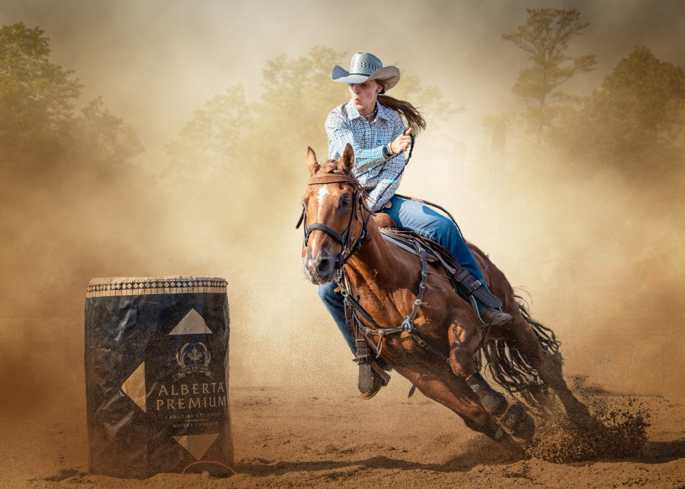 Dreck ist Cowgirl-Glitzer