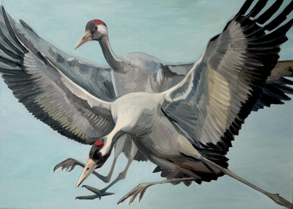 Elegance Of Two Cranes