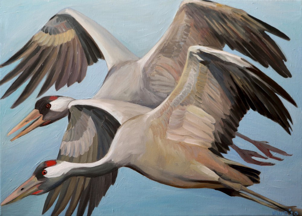 Flight Against A Serene Sky