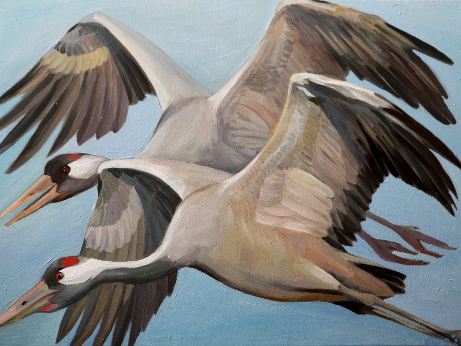 Flight Against A Serene Sky