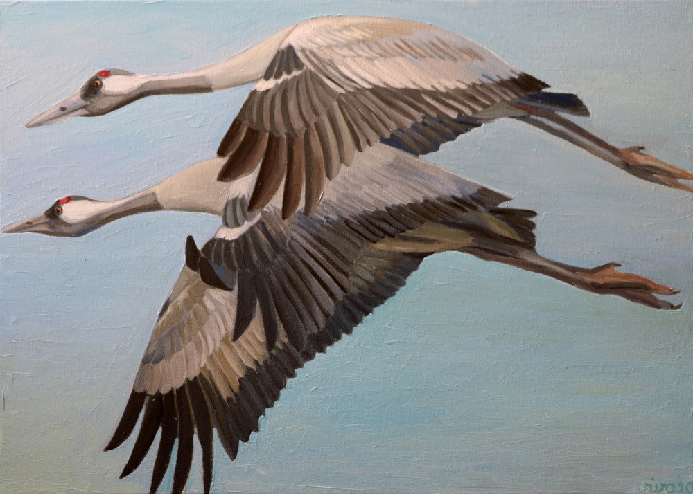 Cranes in Flight