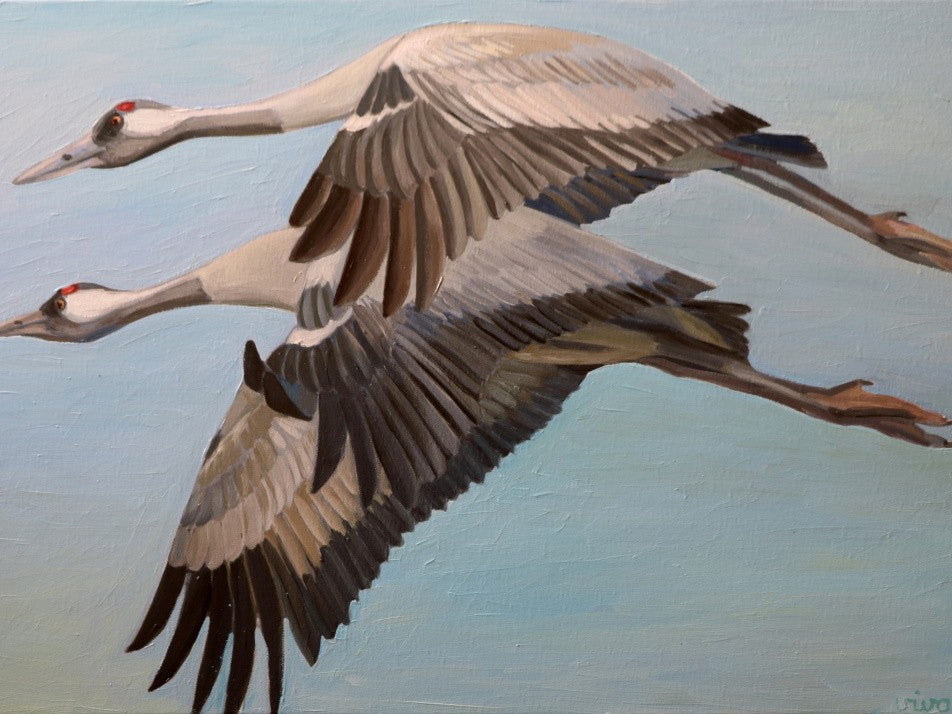 Cranes in Flight