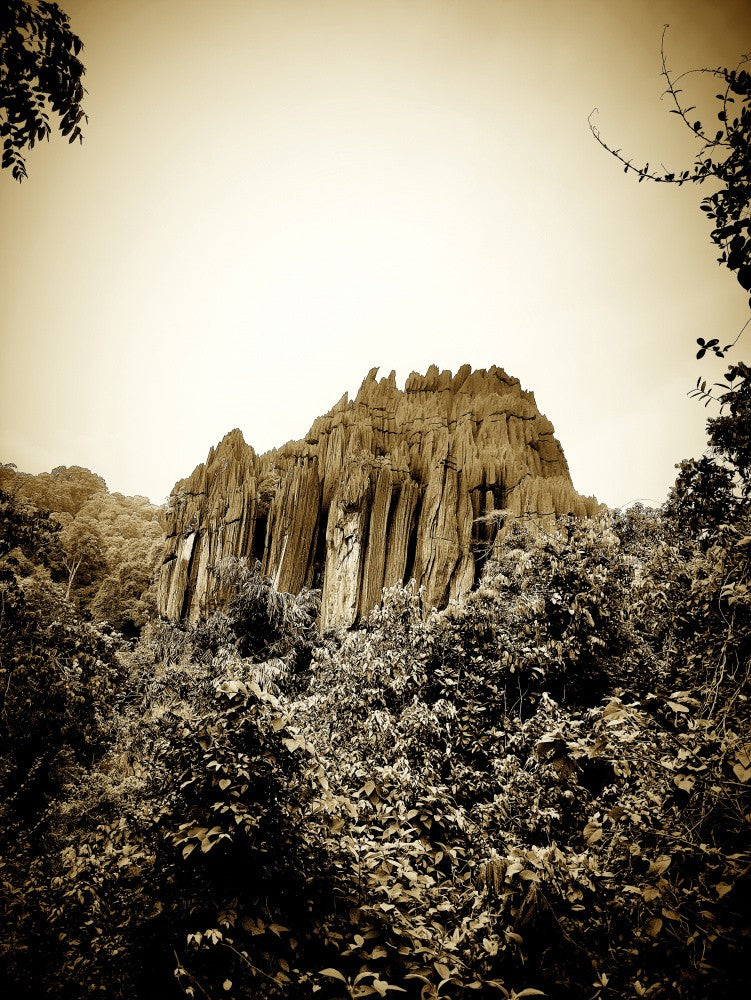 Sepia Stone Vista