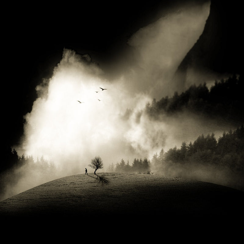 night dream