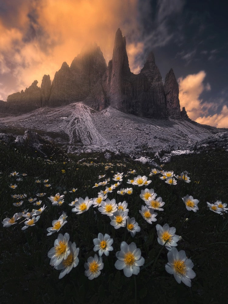 Tre Cime