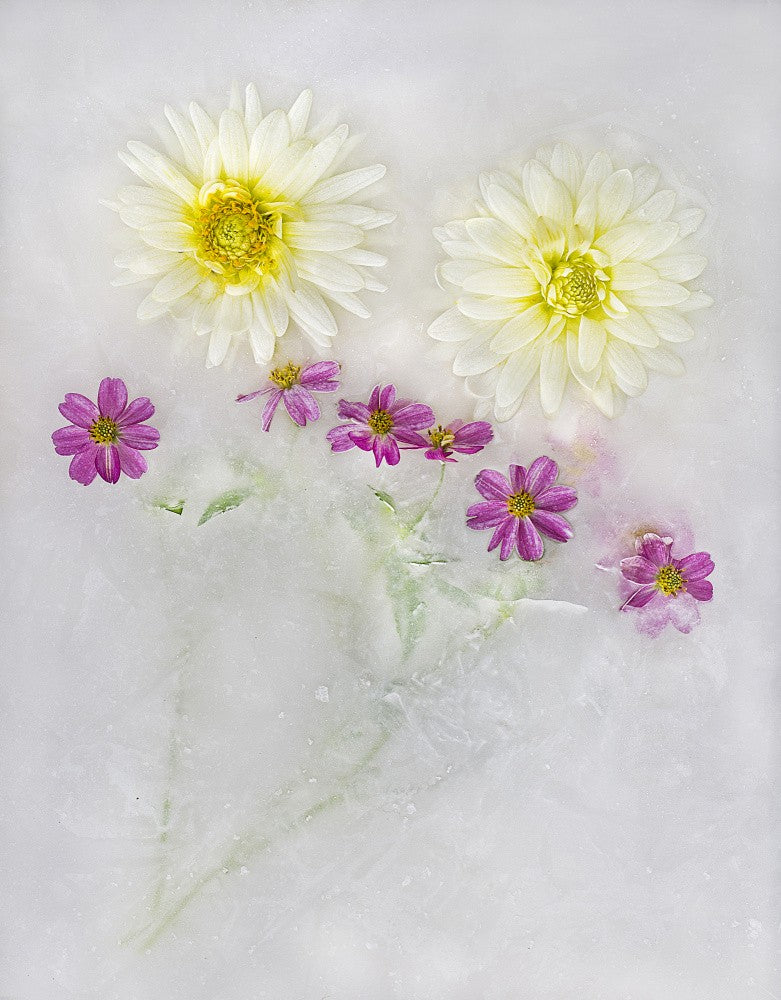 Colors among the ice.