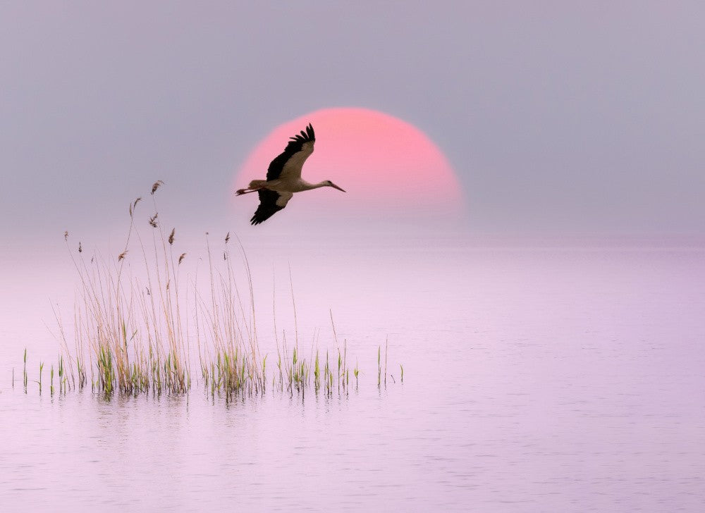 August sunset
