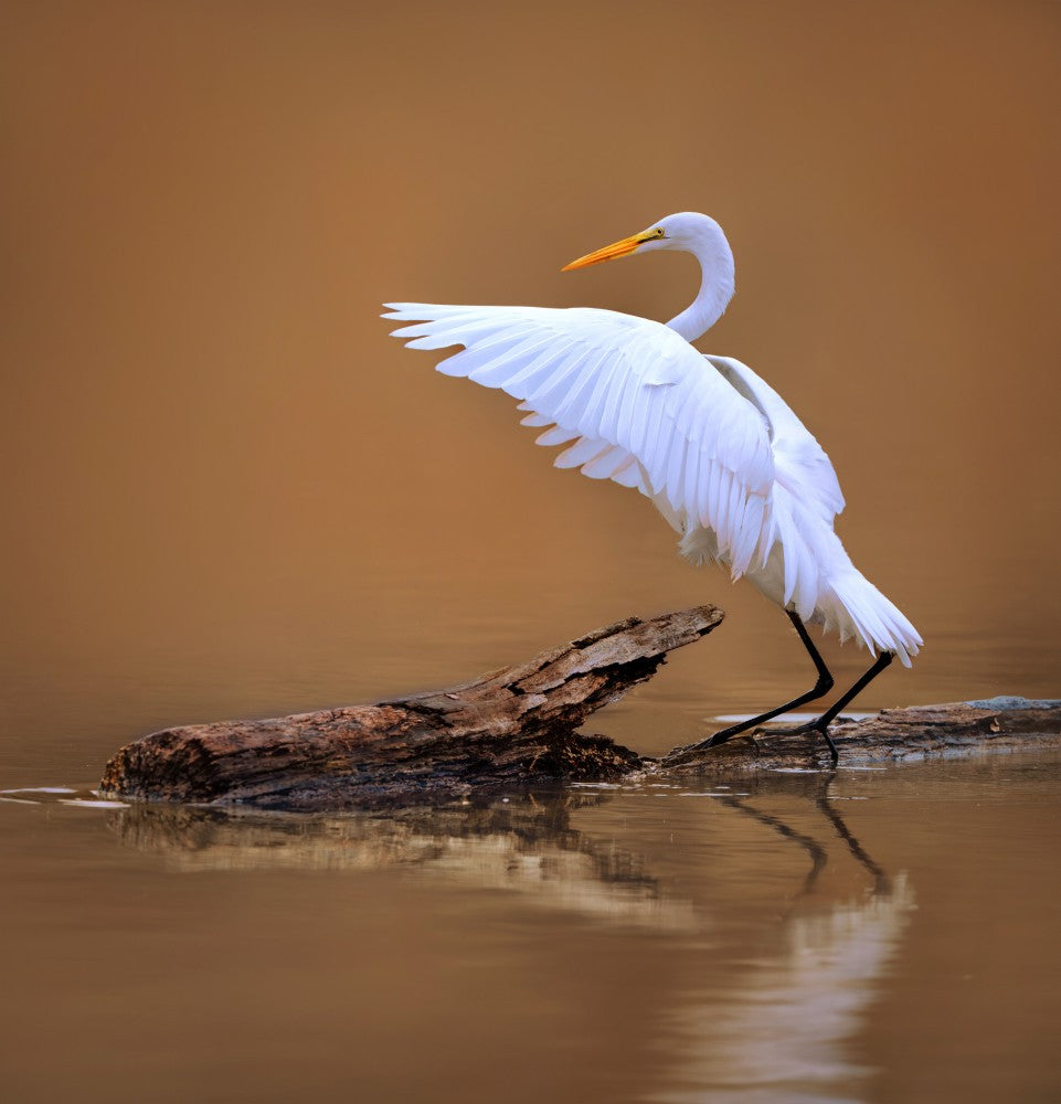 Landing