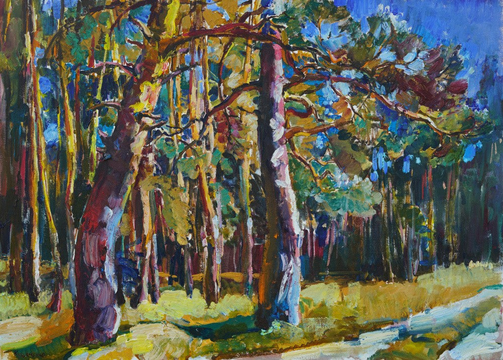 Pine forest