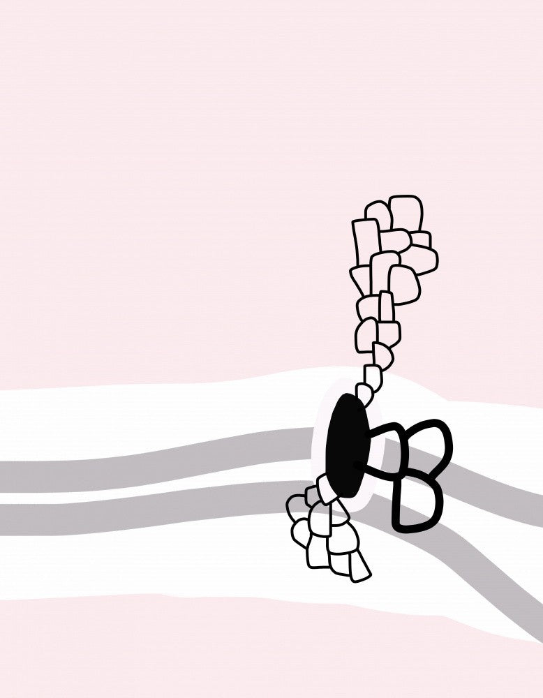 Pinkyno2