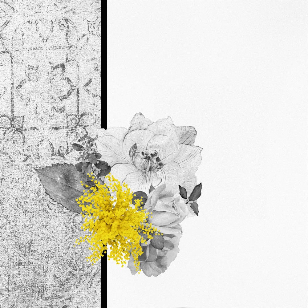 Mimosa No.1.png