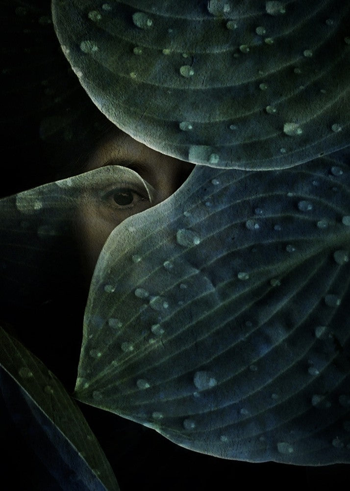 Portrait of an introvert