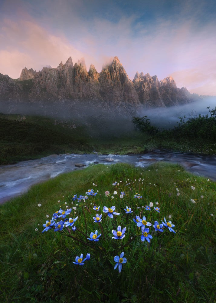 Flowers in God's Garden