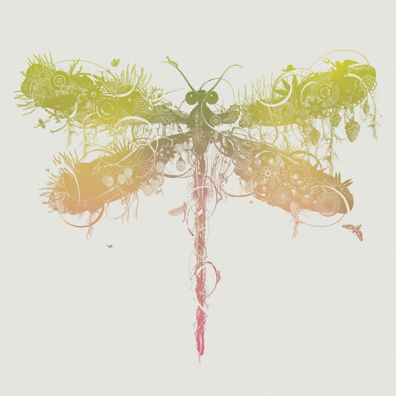 Dragonfly