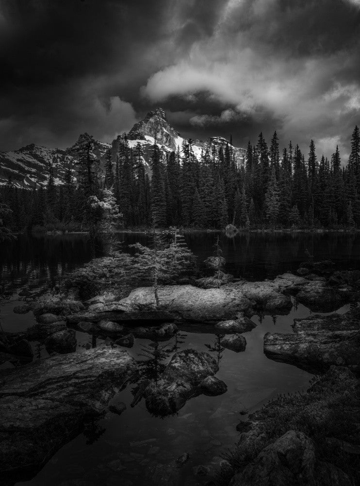 A  different impression of Lake O'Hara