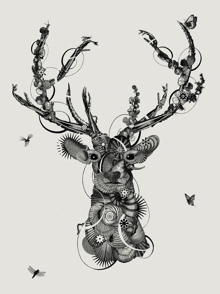 Deerhead