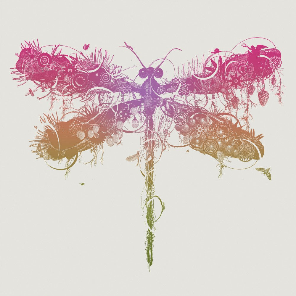 Dragonfly