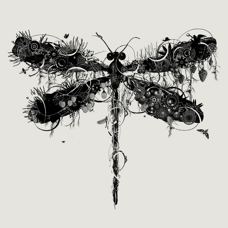 Dragonfly