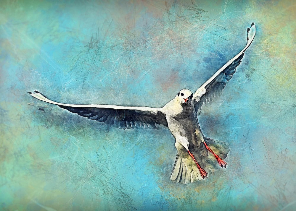 Animal Seagull Bird Watercolor Animal Art