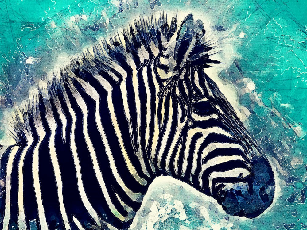 Animal Zebra Watercolor Animal Art