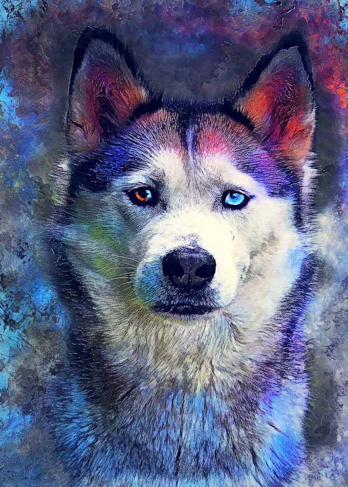 Animal Dog Husky Watercolor Animal Art