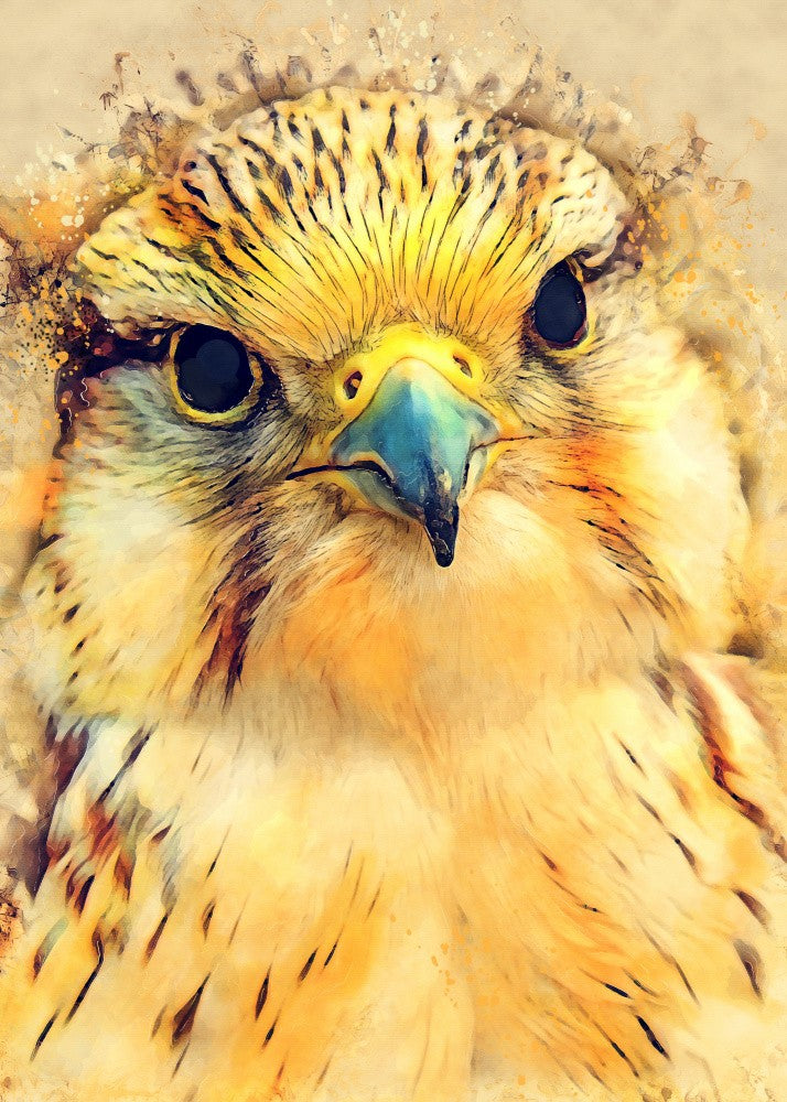 Animal Falcon Watercolor Animal Art