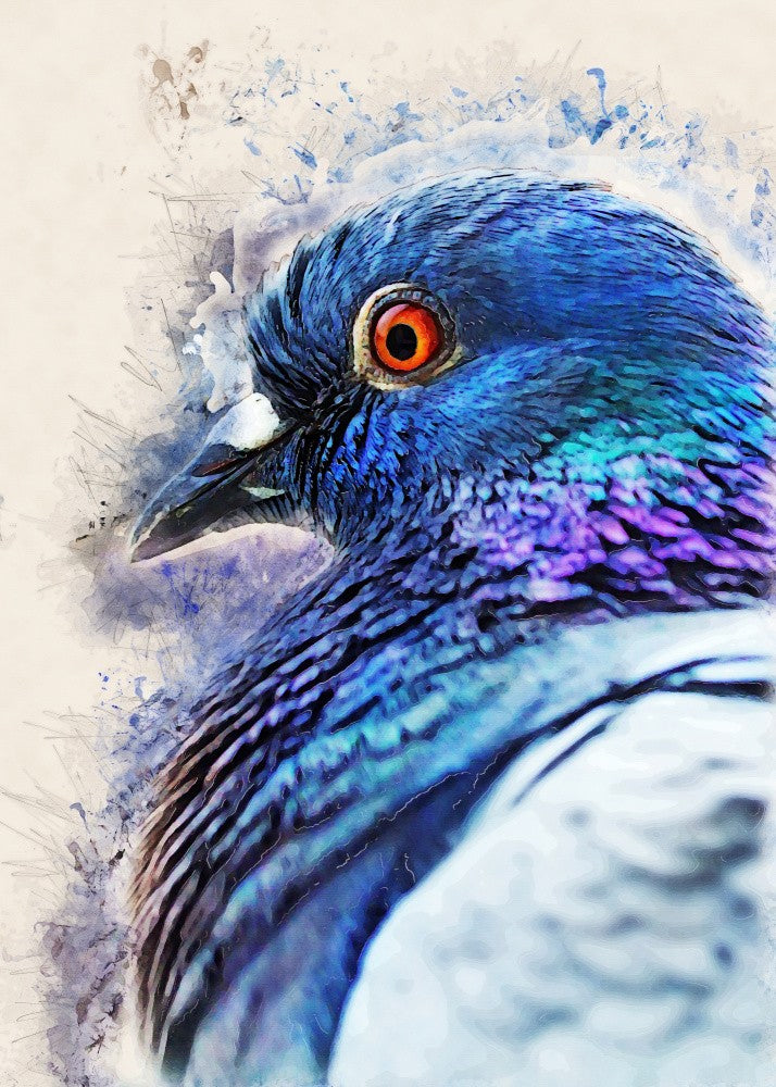 Animals Bird Dove Watercolor Animal Art