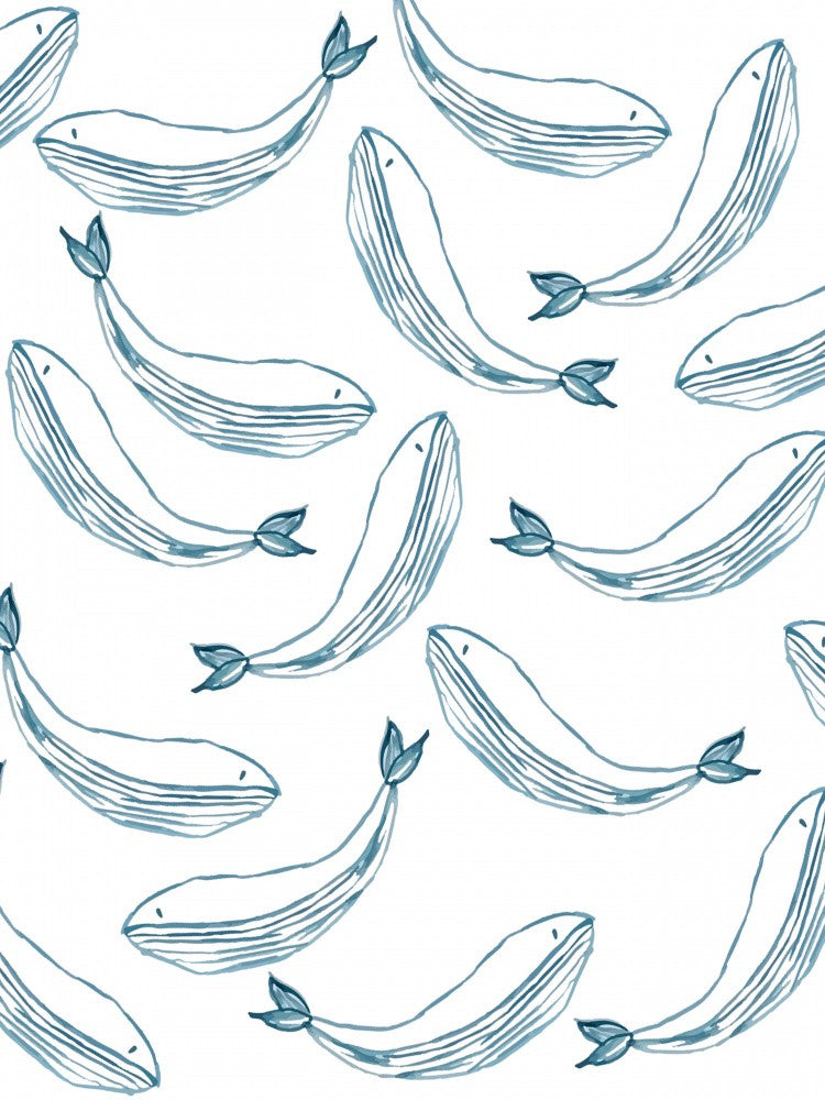 Ballenas