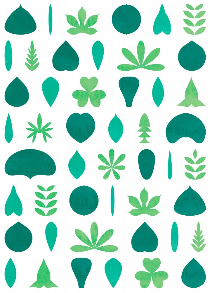 Leaf Shapes and Arrangements #1