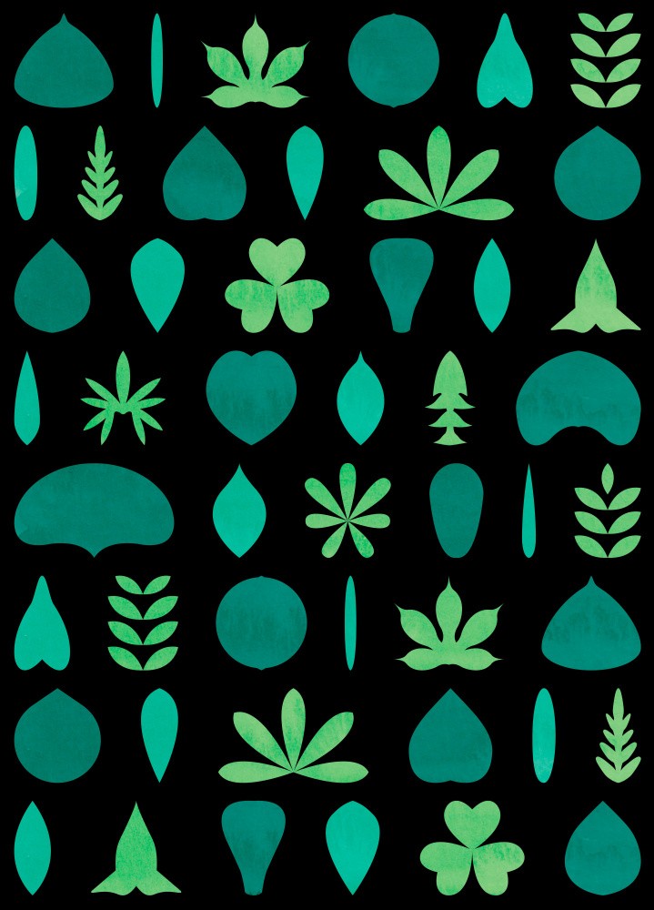 Leaf Shapes and Arrangements #2