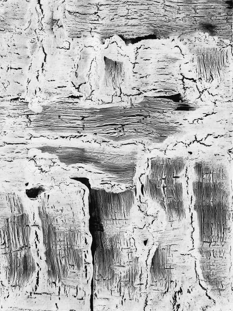 Abstract Artwork Greyscale #2