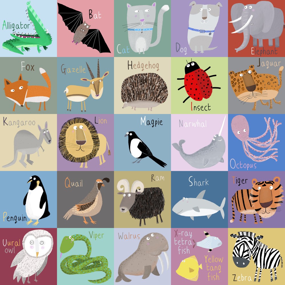 Buntes kariertes Tieralphabet von Künstlerin Carla Daly