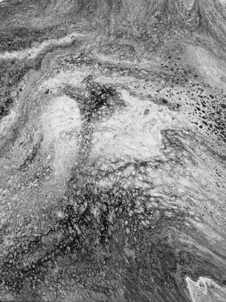 Abstract Artwork Greyscale #4