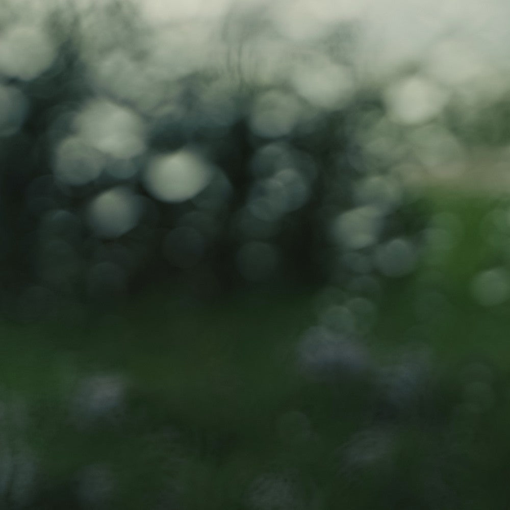 raindrop abstract photograph no. 9