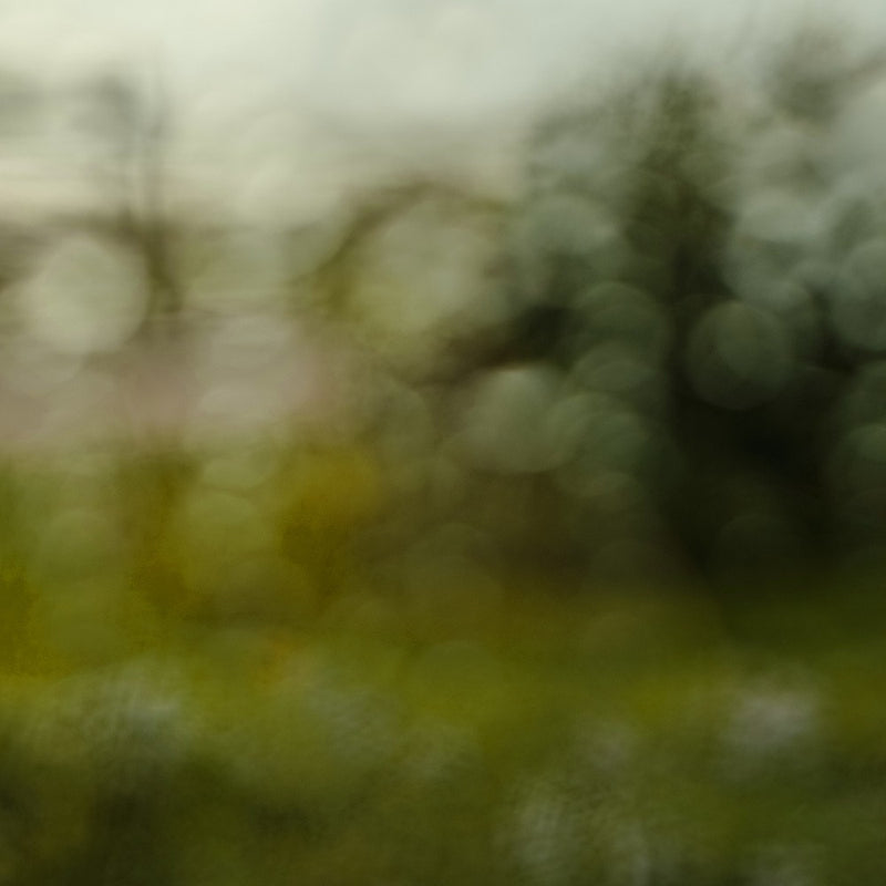 raindrop abstract photograph no. 6